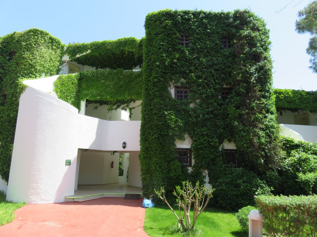 imagini hotel SIMENA SUN CLUB KEMER